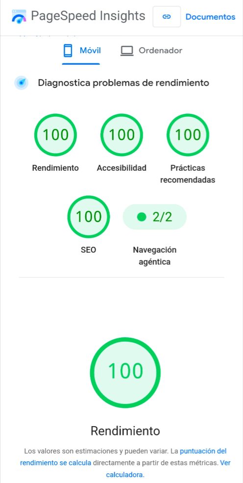 Google PageSpeed Insights Informe Móvil 100